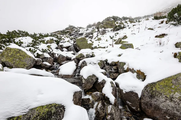 Montagnes carpates dans la neige d'hiver — Photo