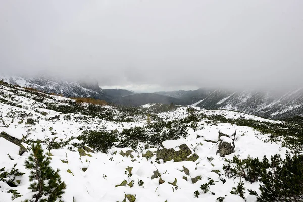 Montanhas dos Cárpatos na neve de inverno — Fotografia de Stock