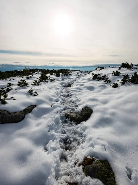 Montagnes carpates dans la neige d'hiver — Photo