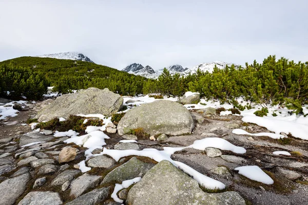 Karpat Dağları kış karda — Stok fotoğraf
