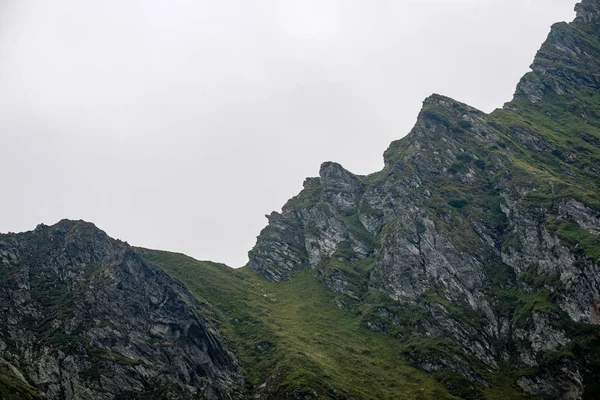 Montagnes des Carpates en été — Photo