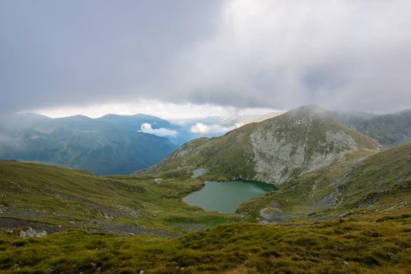 Карпатские горы летом — стоковое фото
