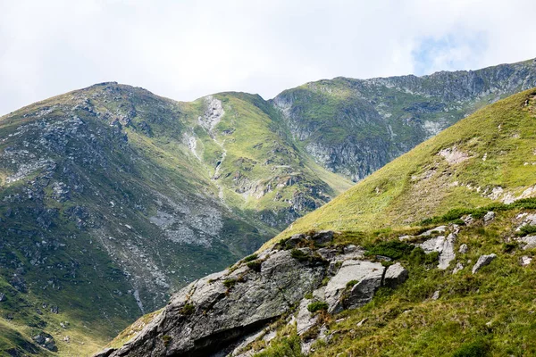 Montagne carpatiche in estate — Foto Stock