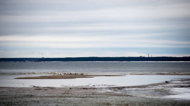 Kışın beyaz dalgalar kırma ile deniz kenarında kar yağışı