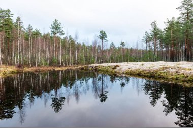 Geç sonbaharda yansımalar ile sakin göl