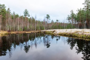 Geç sonbaharda yansımalar ile sakin göl