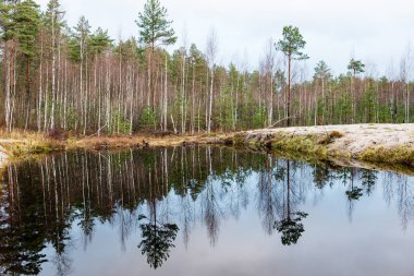 Geç sonbaharda yansımalar ile sakin göl