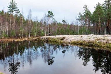 Geç sonbaharda yansımalar ile sakin göl