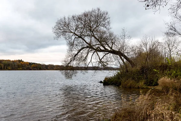 Lago tranquilo con reflejos — Foto de Stock