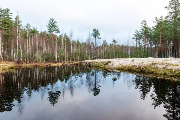 Geç sonbaharda yansımalar ile sakin göl