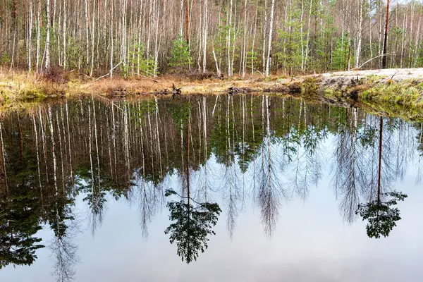 Rustig lake met reflecties in de late herfst — Stockfoto