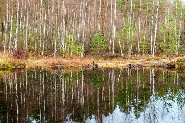 Lago calmo con riflessi nel tardo autunno — Foto Stock