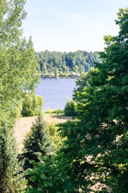 Yaz Ağaçlar çıplak dalları ile 