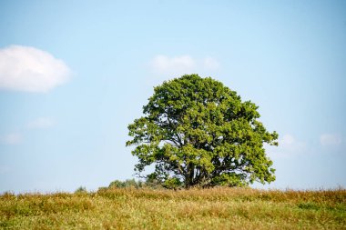 Sonbahar kırsal alanları