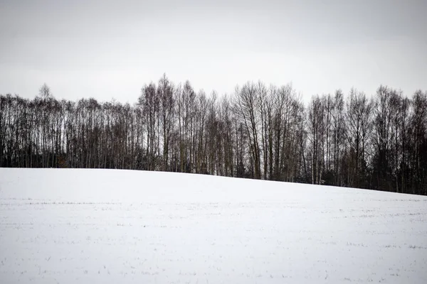 Campos rurais no inverno — Fotografia de Stock