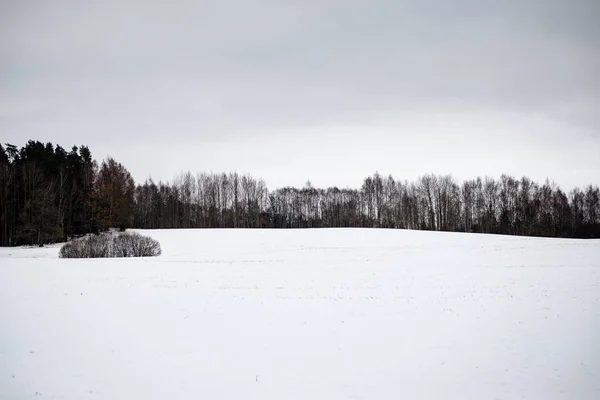 Εξοχή πεδία το χειμώνα — Φωτογραφία Αρχείου