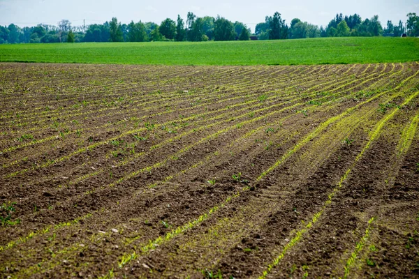 Sonbahar kırsal alanları