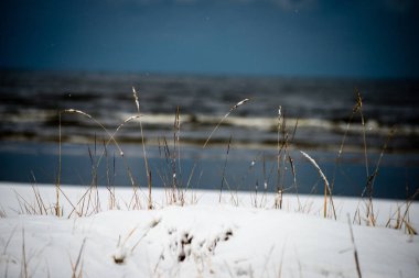 Baltık Denizi tarafından dondurulmuş plaj manzarası