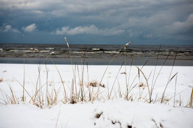 Baltık Denizi tarafından dondurulmuş plaj manzarası