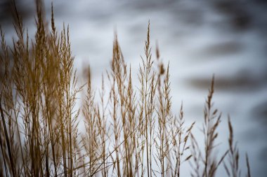 Mavi gökyüzü arka plan üzerinde kaç bents