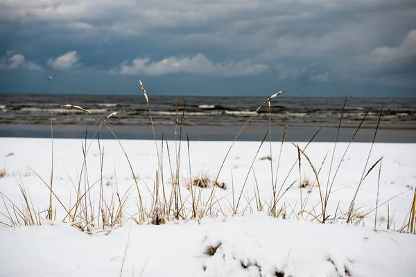 Vue sur la plage gelée au bord de la mer baltique — Photo