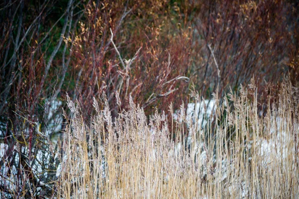 Wenige Knicke auf dem blauen Himmelshintergrund — Stockfoto