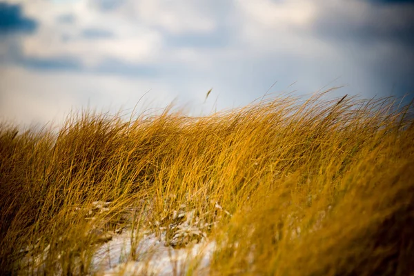 Few bents on the blue sky background — Stock Photo, Image