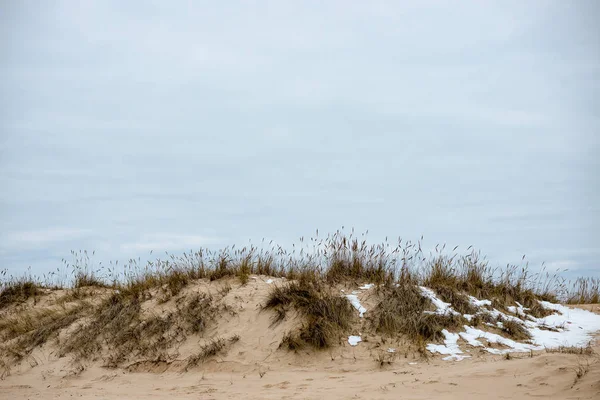 Plage rocheuse dans la mer baltique — Photo