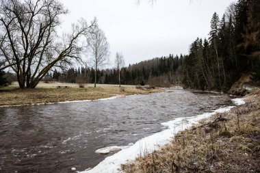 Kışın donmuş nehir
