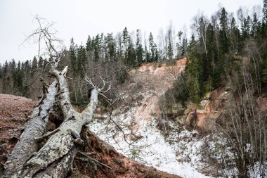 Kışın donmuş nehir