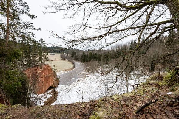 Kışın donmuş nehir