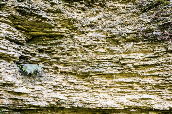 Sandsteinhöhle aus nächster Nähe — Stockfoto