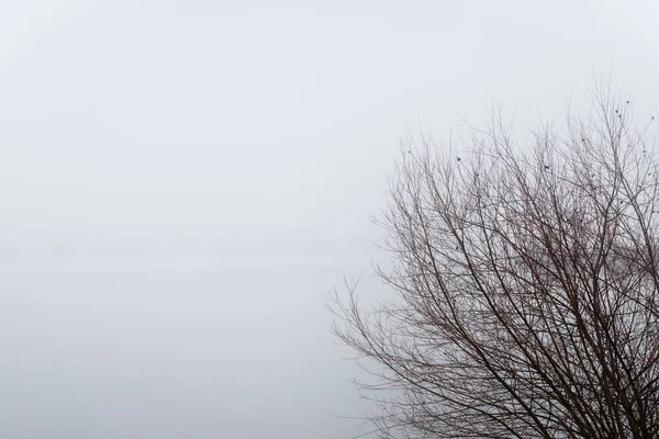 Hustá mlha nad řekou na podzim — Stock fotografie