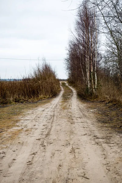 Landweg in het bos — Stockfoto