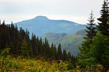 Karpatlar görünümünde renkli kırsal