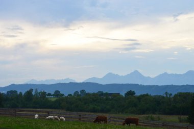 Karpatlar görünümünde renkli kırsal