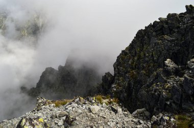 Karpatlar görünümünde renkli kırsal