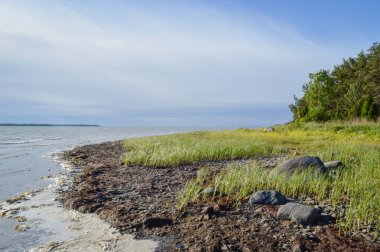 Kayalık sonbahar plaj dalgalar kayalar çökmesini ile
