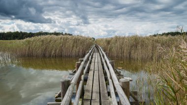 sisli bataklık Gölü'nün güzel sakin manzara