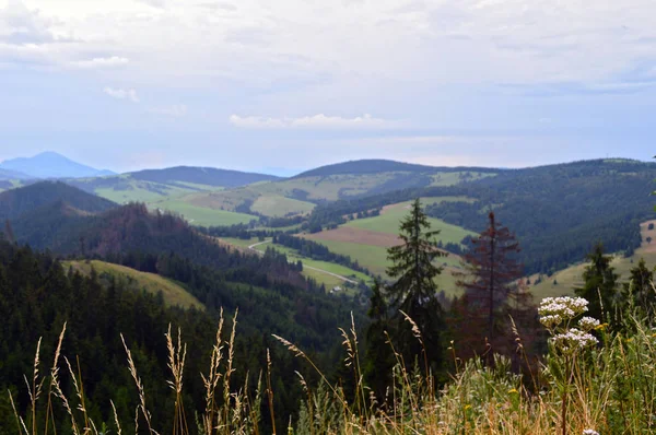 Karpatlar görünümünde renkli kırsal