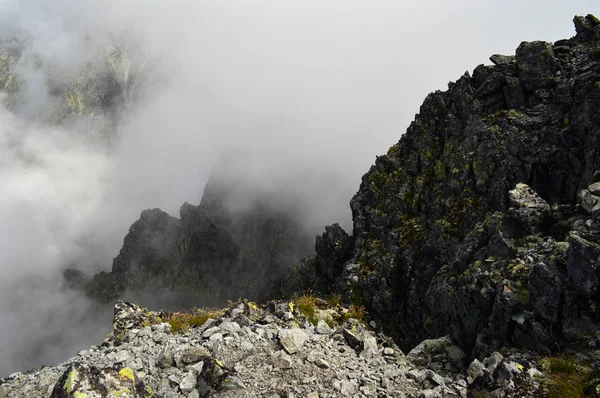 Karpatlar görünümünde renkli kırsal