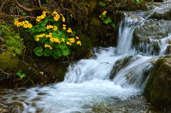 Fossefall fra ravinen om vinteren, langvarig eksponering – stockfoto