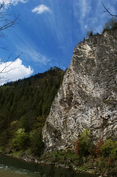 Utsikt över färgglada landsbygden i Karpaterna — Stockfoto