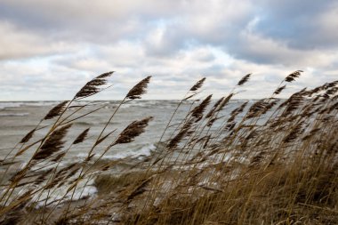 kayalık deniz plaj geniş açı bakış açısı ile