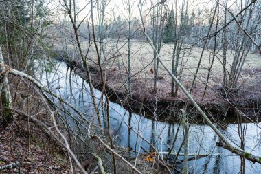 kumtaşı kayalıklarla Letonya