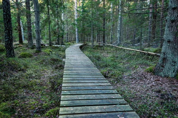Alte Holzpromenade mit Laub bedeckt im alten Wald — Stockfoto