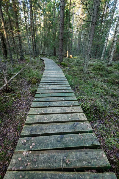 Oude houten promenade bedekt met bladeren in oude bos — Stockfoto