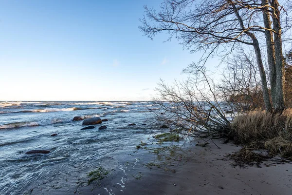 Скелястий морський пляж з широкою перспективою — стокове фото