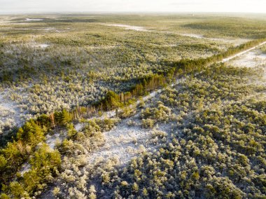 karlı güneşli kış günü ormanda havadan görünümü