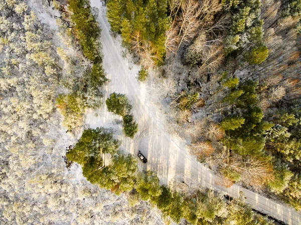 Luchtfoto van besneeuwde bos in zonnige winterdag — Stockfoto